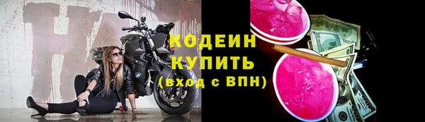 шишки Рославль