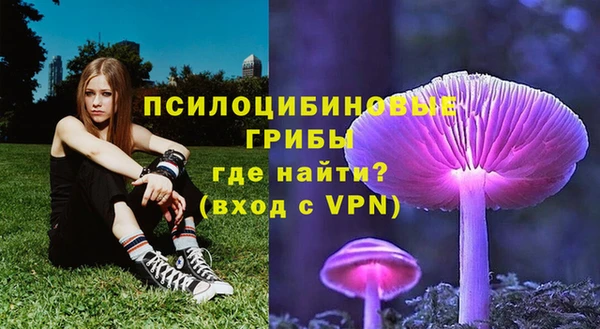сатива Алзамай