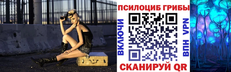 купить закладку  Злынка  Галлюциногенные грибы Cubensis 